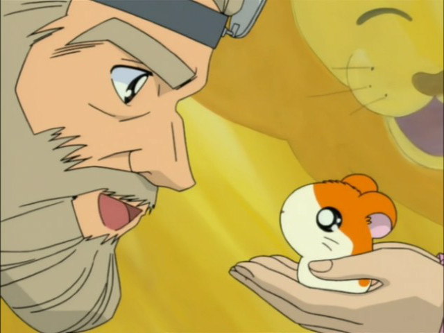 Hamtaro Folge 94